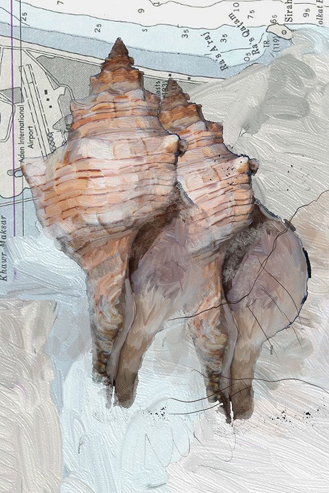 Geo Shell 1 art print by Sarah Butcher for $57.95 CAD