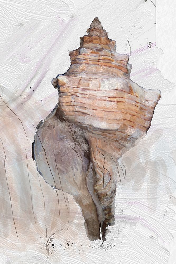 Geo Shell 2 art print by Sarah Butcher for $57.95 CAD