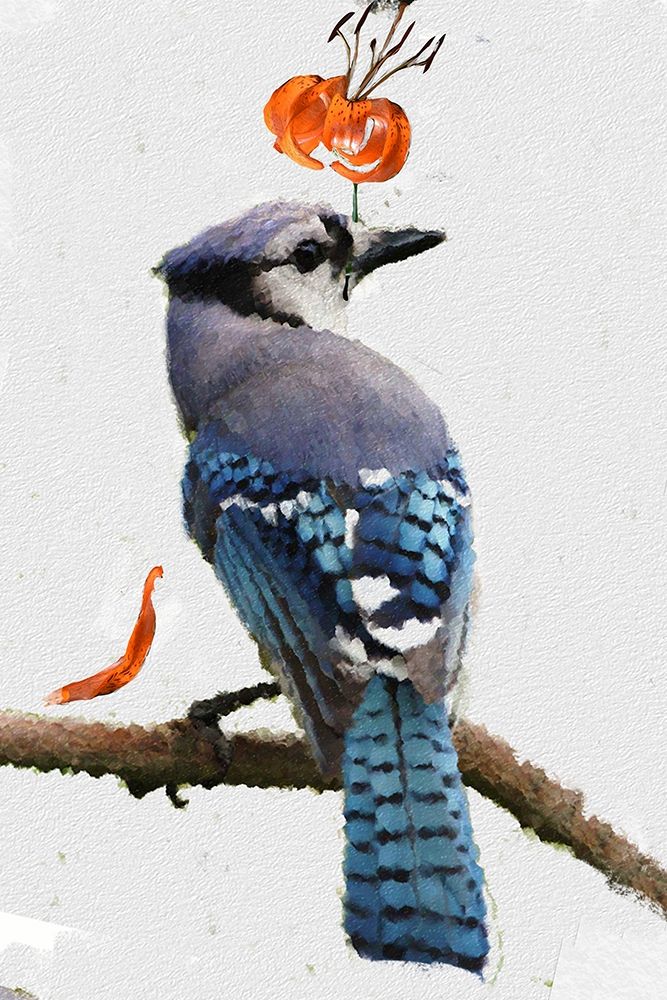 Flowering Blue Jay art print by Sarah Butcher for $57.95 CAD