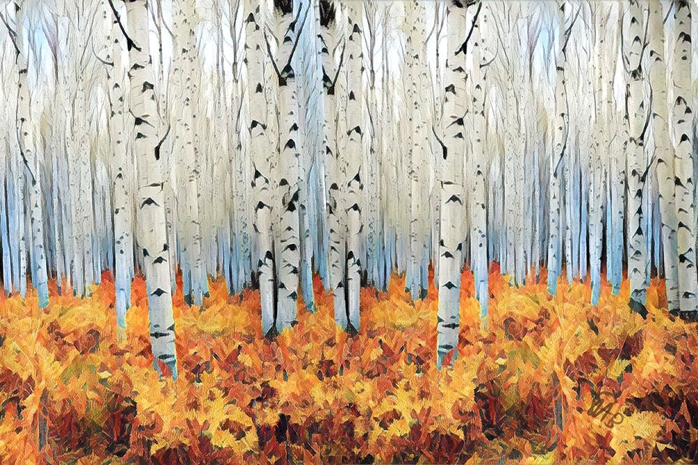 Birch Forest art print by Sarah Butcher for $57.95 CAD