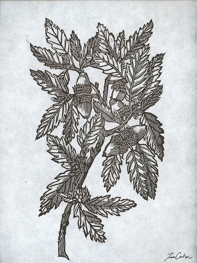 Oak Tree 1 art print by Tina Carlson for $57.95 CAD