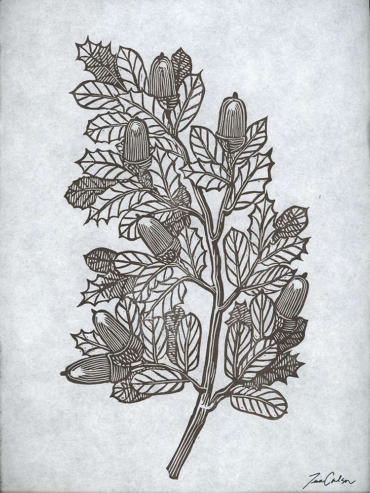 Oak Tree 2 art print by Tina Carlson for $57.95 CAD