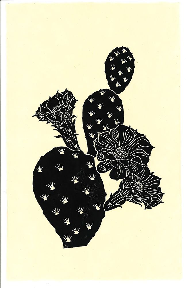 Cactus 3BW art print by Tina Carlson for $57.95 CAD