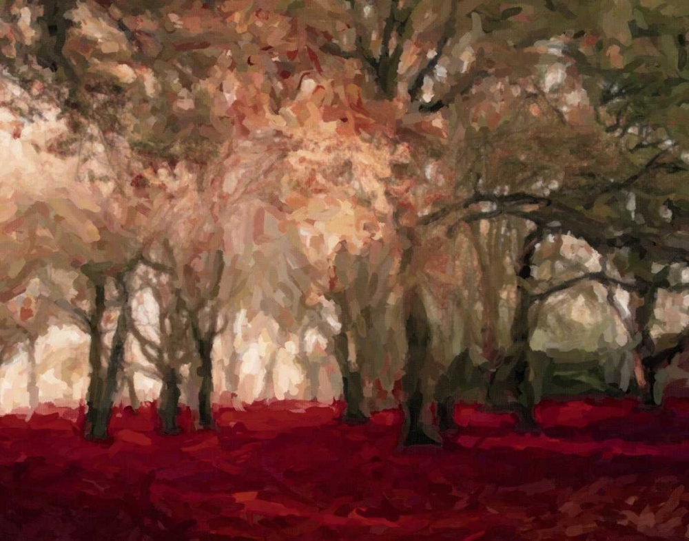 Crimson Forest Floor A2 art print by Taylor Greene for $57.95 CAD