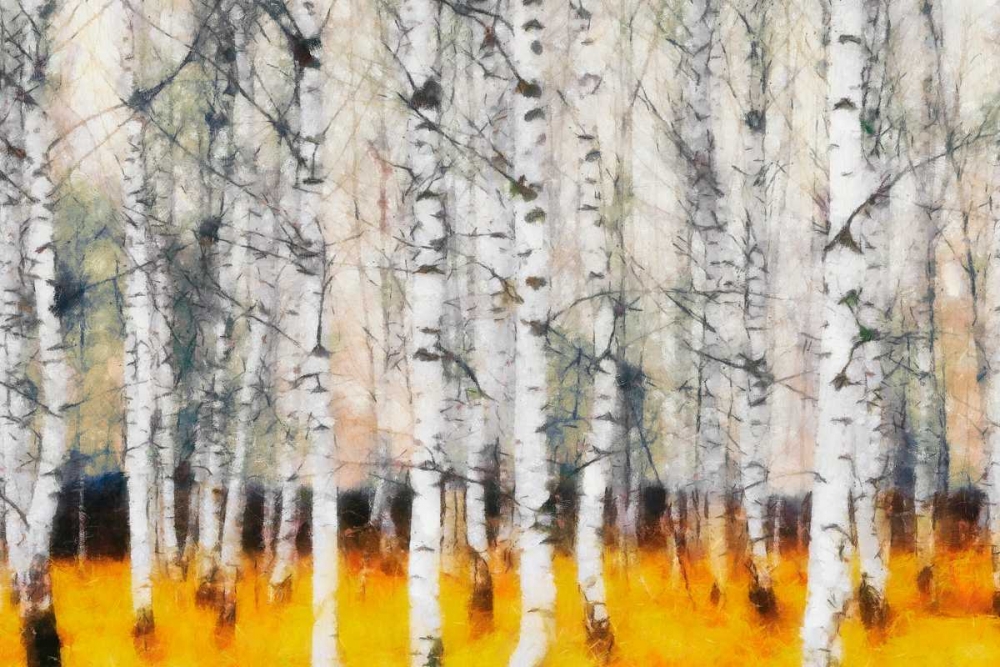 Saffron Timber  art print by Taylor Greene for $57.95 CAD