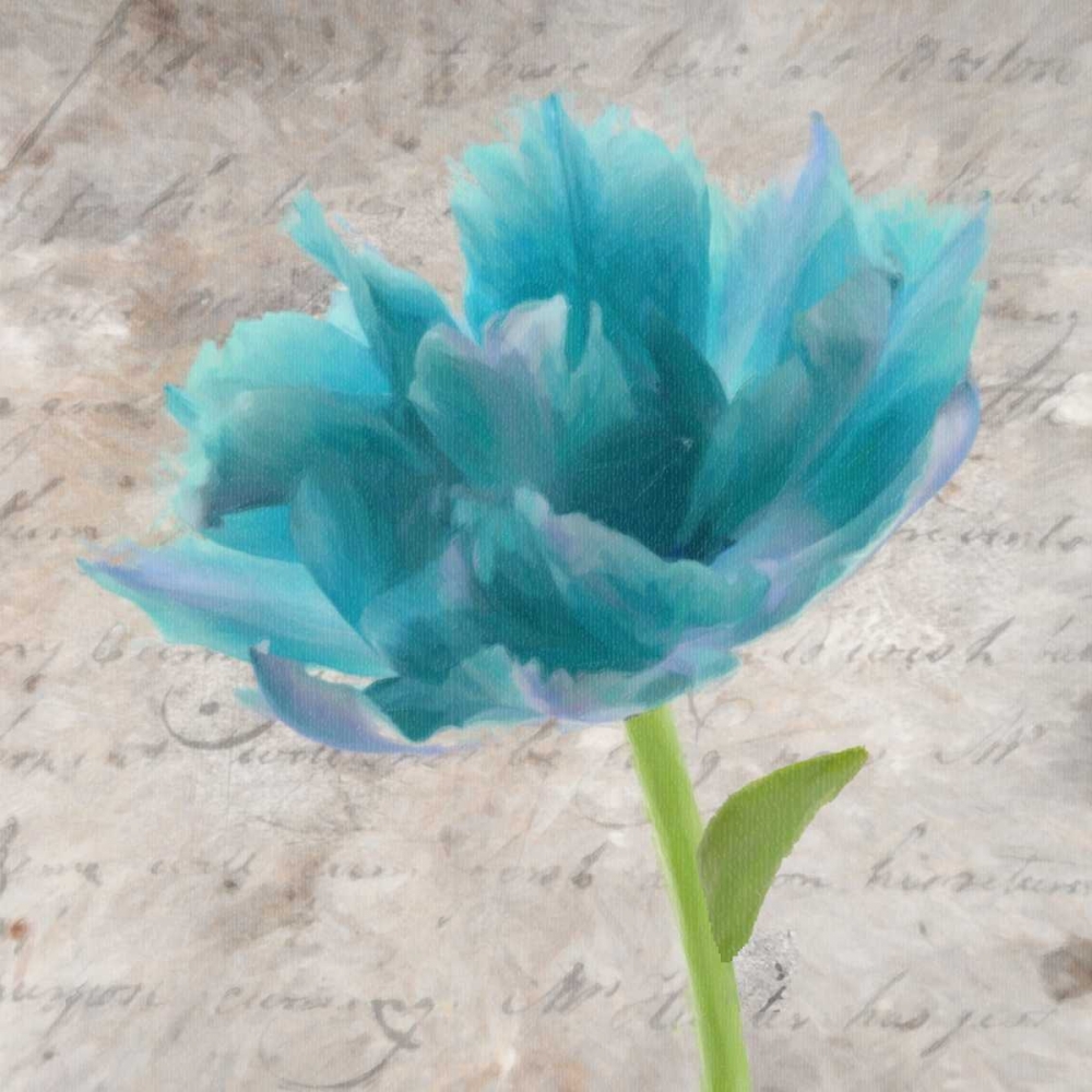 Blue Scripted Floral II art print by Taylor Greene for $57.95 CAD