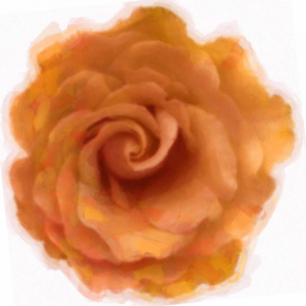 Orange Rose art print by Taylor Greene for $57.95 CAD