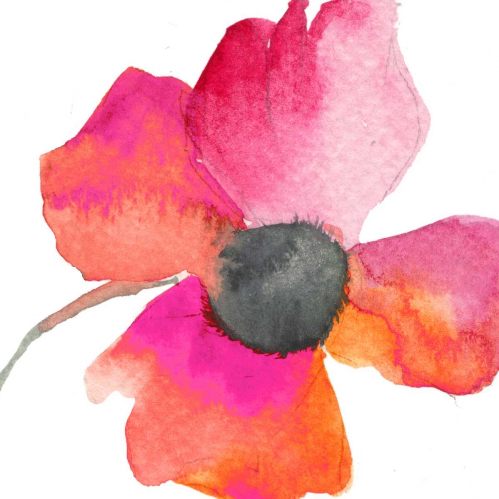 Poppy Warmth art print by Taylor Greene for $57.95 CAD