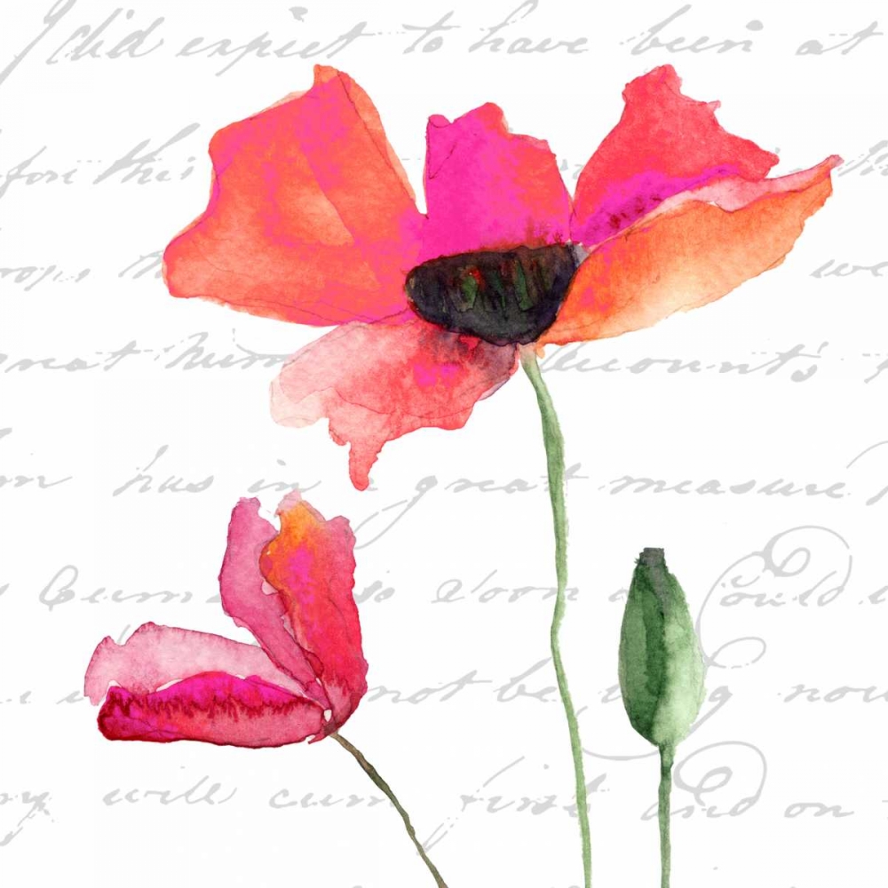 Watercolor Poppy Script art print by Taylor Greene for $57.95 CAD