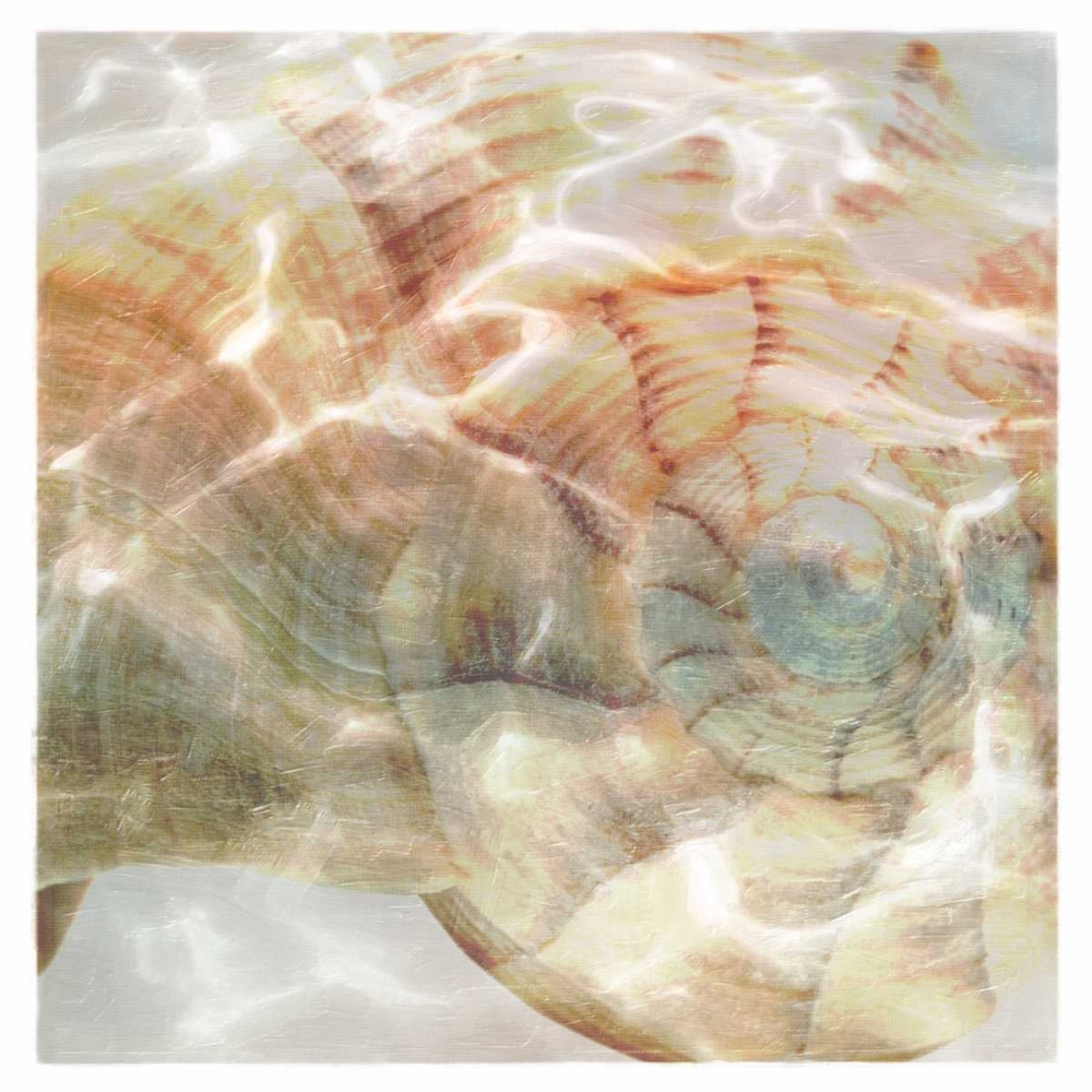 Shell Abstract 1 art print by Taylor Greene for $57.95 CAD