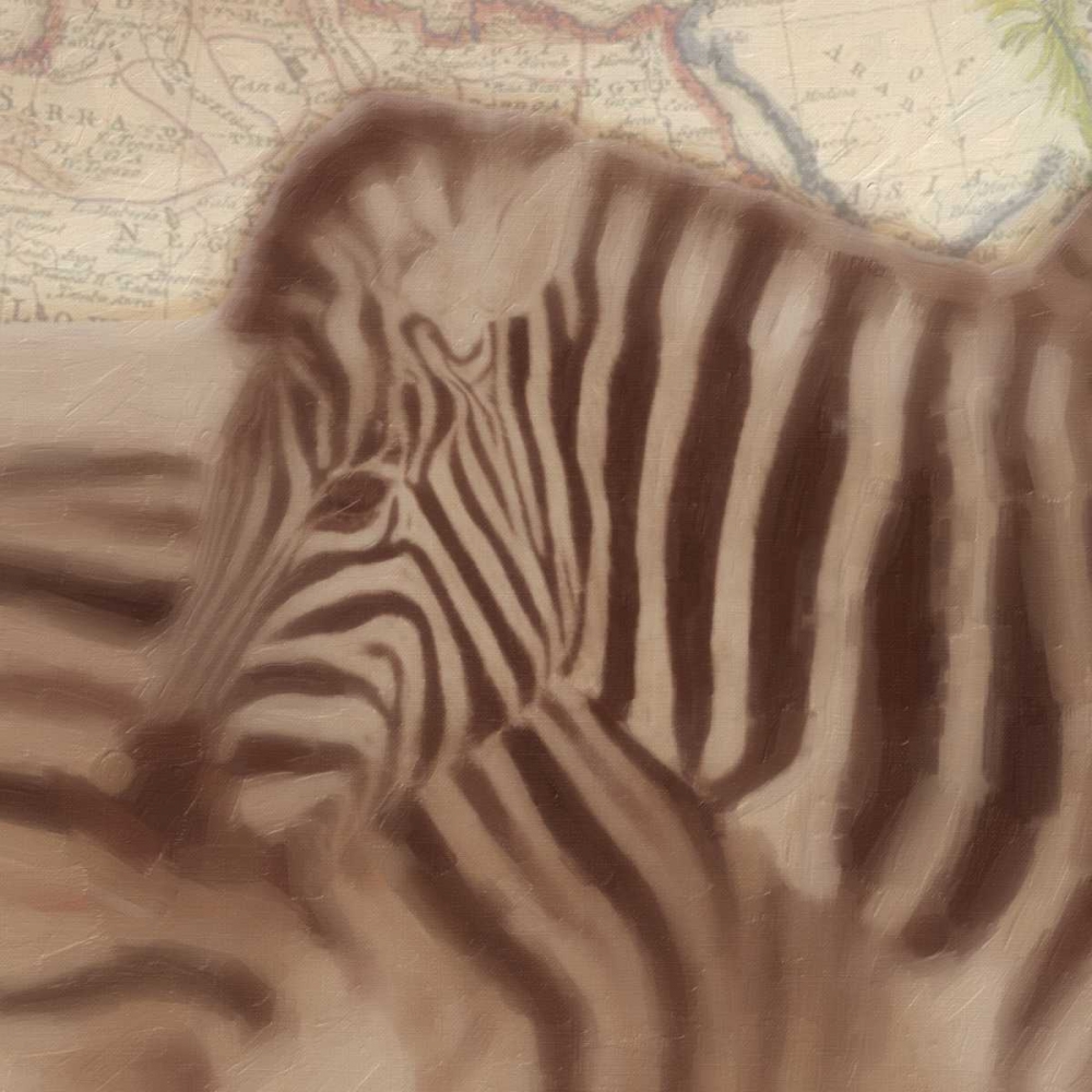 Zebra Travels art print by Taylor Greene for $57.95 CAD