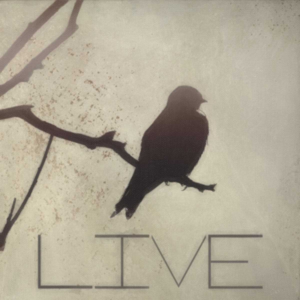 Live Silhouette art print by Taylor Greene for $57.95 CAD