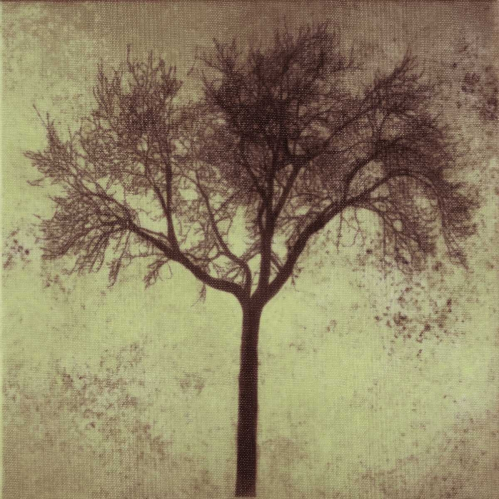 A Tree Silhouette art print by Taylor Greene for $57.95 CAD