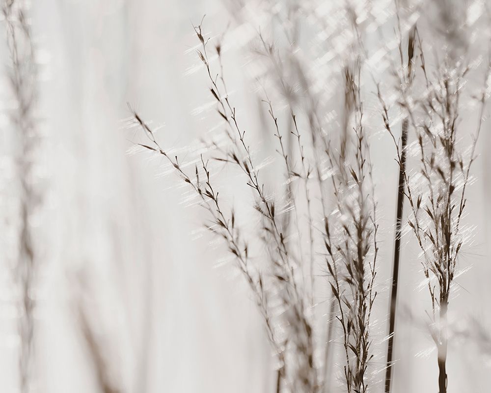 Grasses art print by Tracey Telik for $57.95 CAD