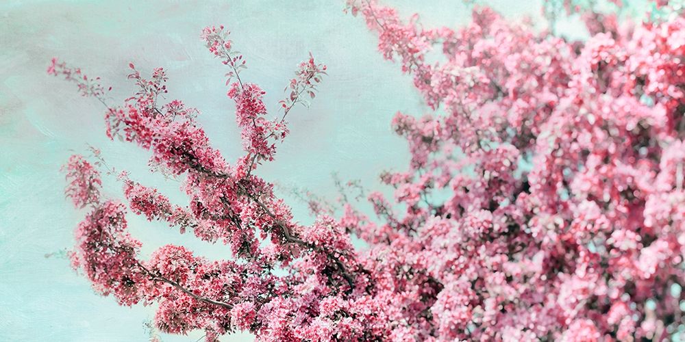 Blossoming Spring art print by Tracey Telik for $57.95 CAD