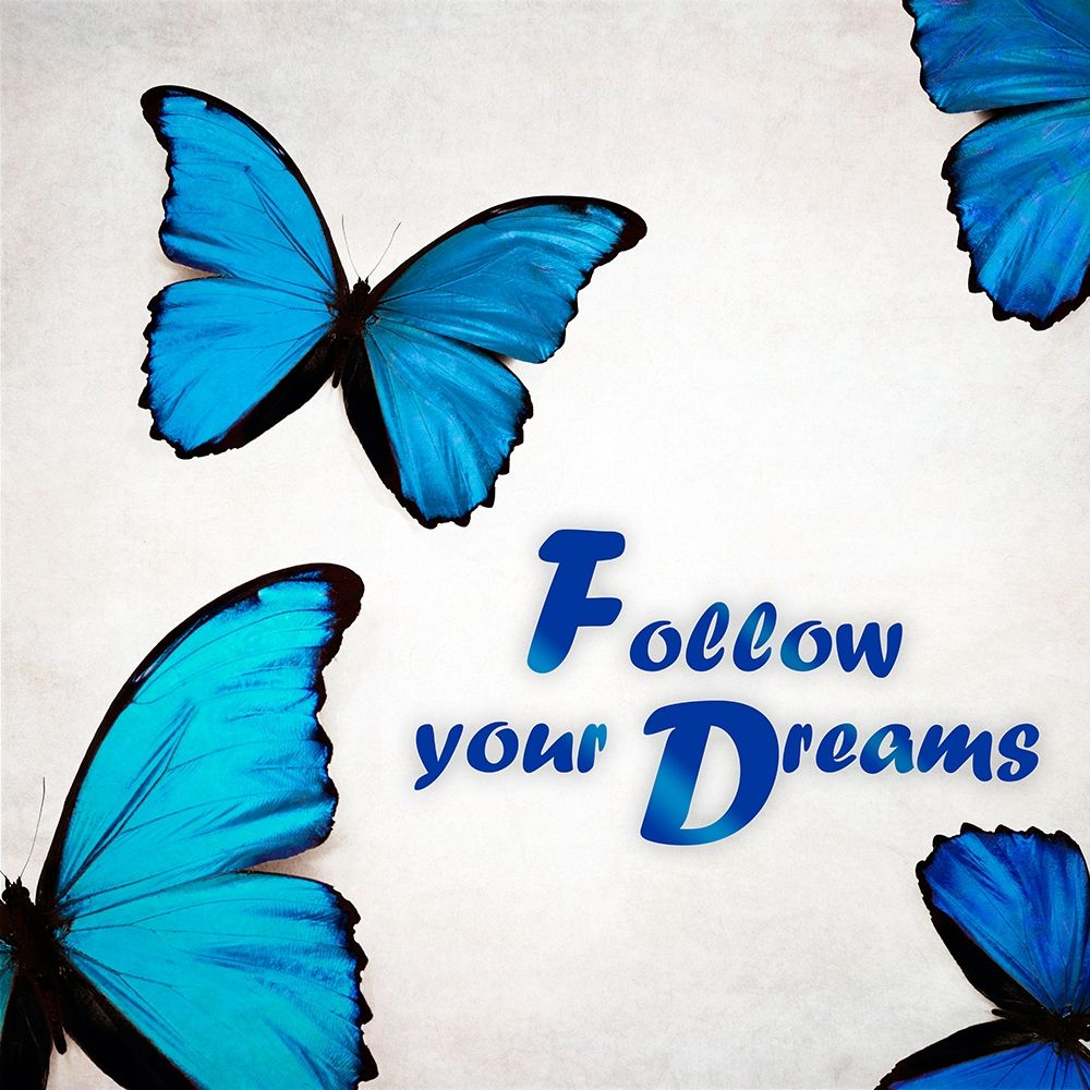 Follow Your Dreams art print by Tracey Telik for $57.95 CAD