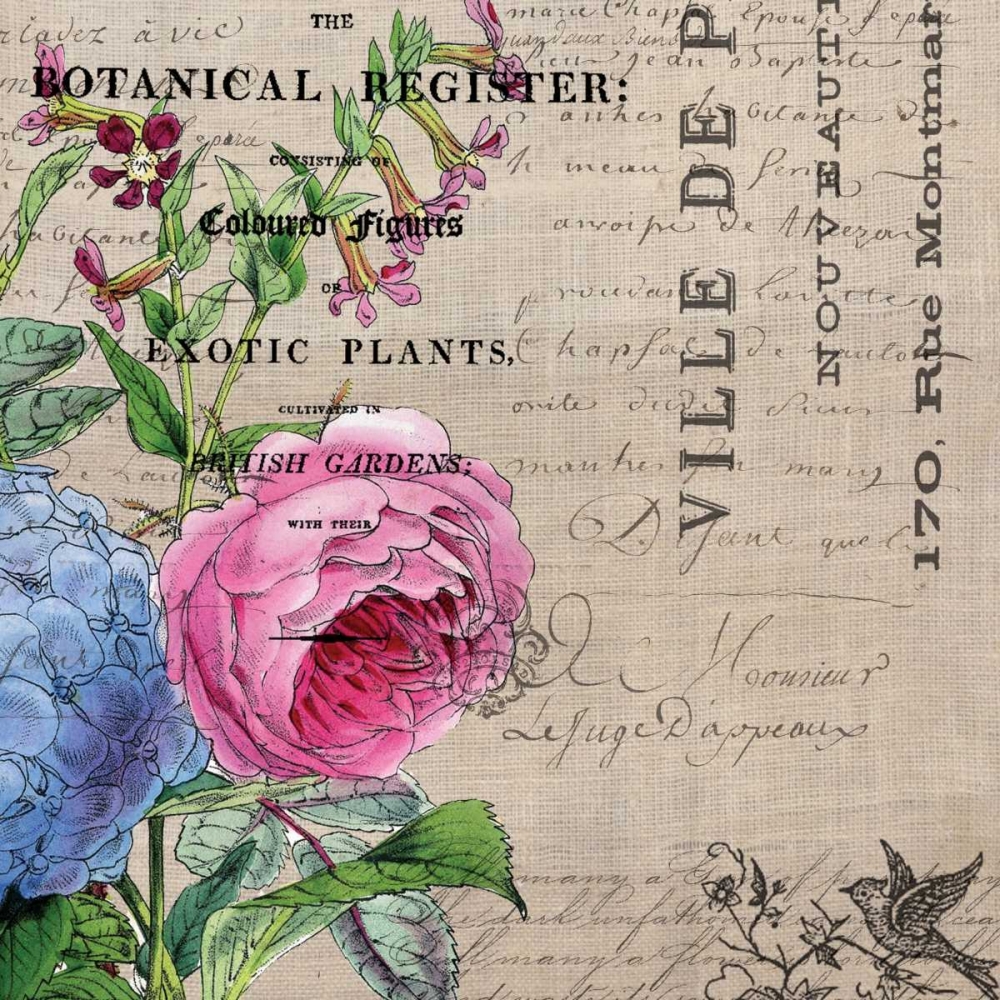 Botanical Register 1 art print by Elizabeth Jordan for $57.95 CAD