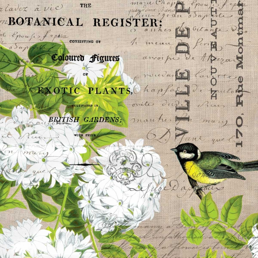Botanical Register 2 art print by Elizabeth Jordan for $57.95 CAD