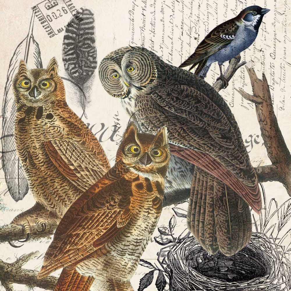 Owl art print by Elizabeth Jordan for $57.95 CAD