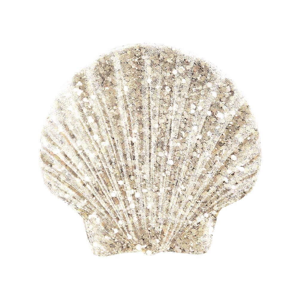 Coastal Studded Shell 2 art print by Victoria Brown for $57.95 CAD