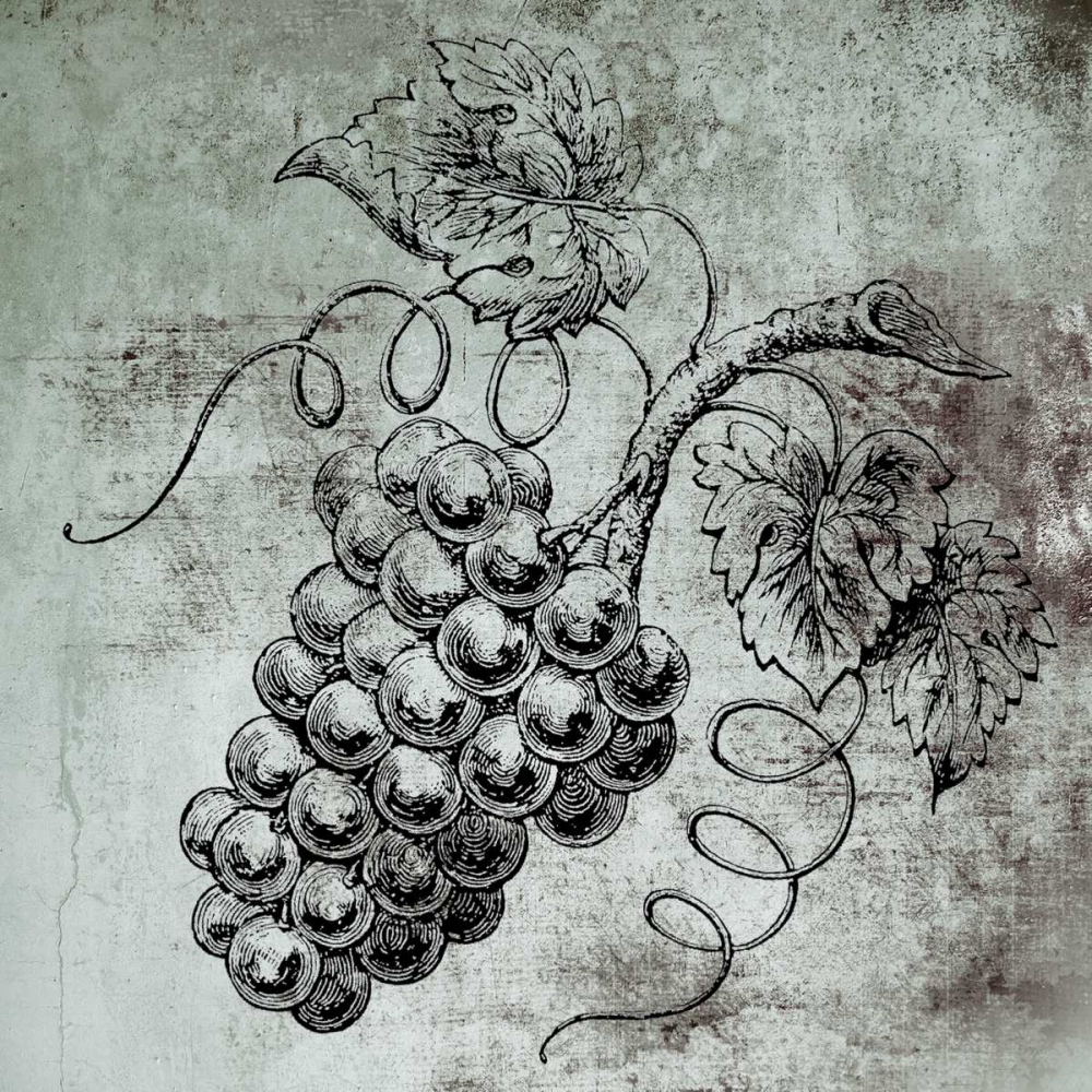 Vine Grapes art print by Victoria Brown for $57.95 CAD