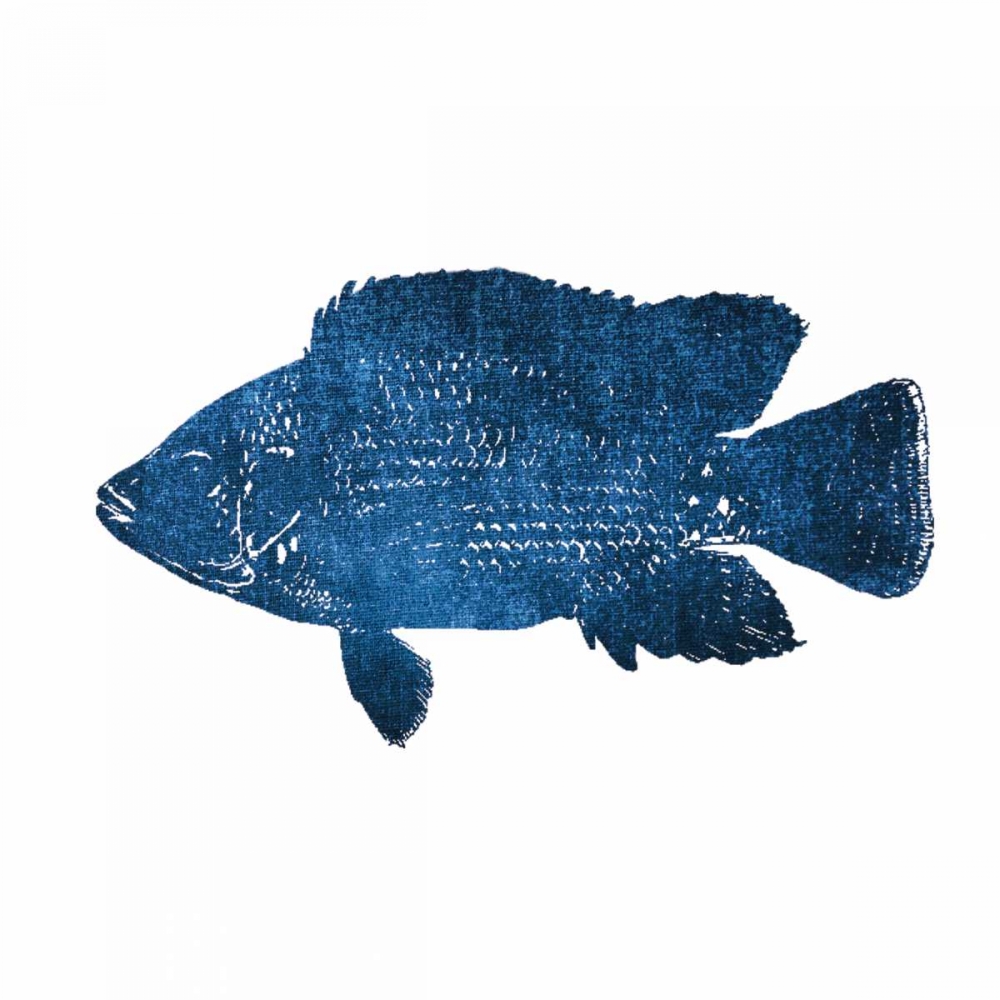 Navy Fish art print by Victoria Brown for $57.95 CAD