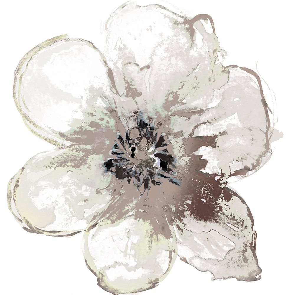 Floral-White art print by Victoria Brown for $57.95 CAD