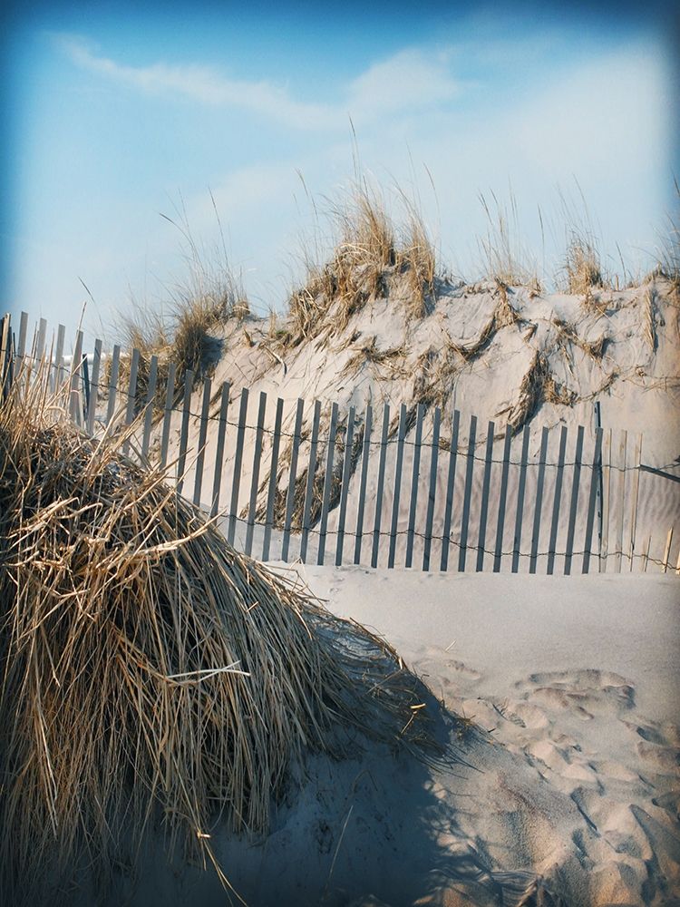 Beach Grass and Fence A art print by Suzanne Foschino for $57.95 CAD