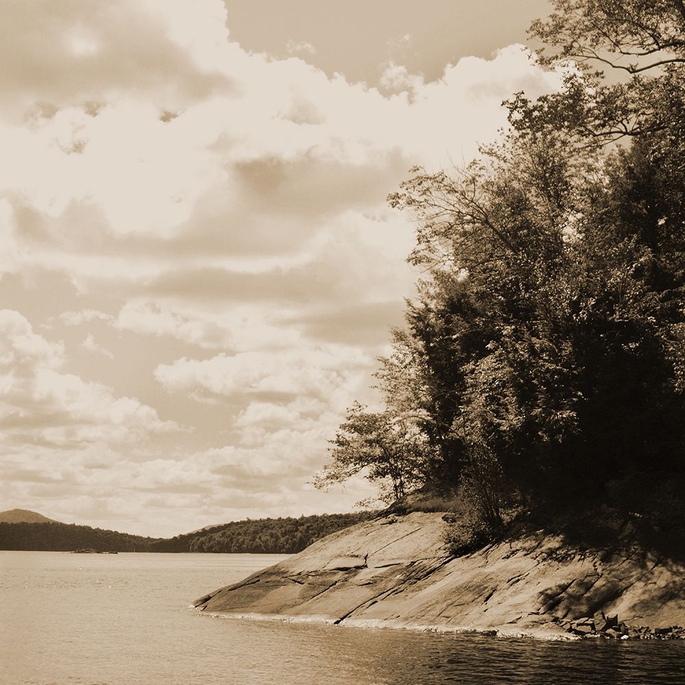Sepia Lake 1 art print by Suzanne Foschino for $57.95 CAD