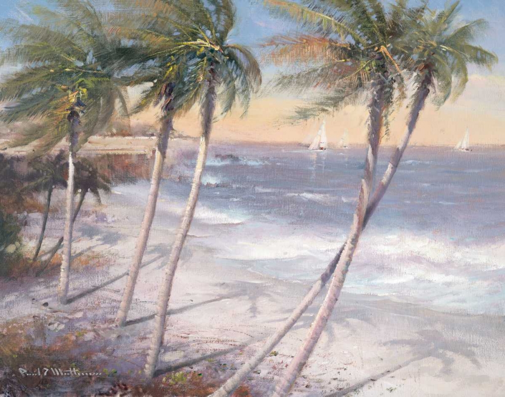 White Sand Beaches art print by Paul Mathenia for $57.95 CAD