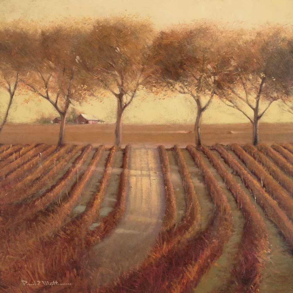 Vintage Sunlit Vineyard art print by Paul Mathenia for $57.95 CAD
