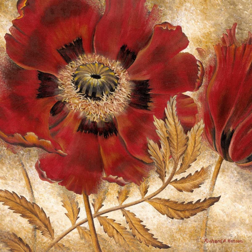 Red Poppy art print by Richard Henson for $57.95 CAD