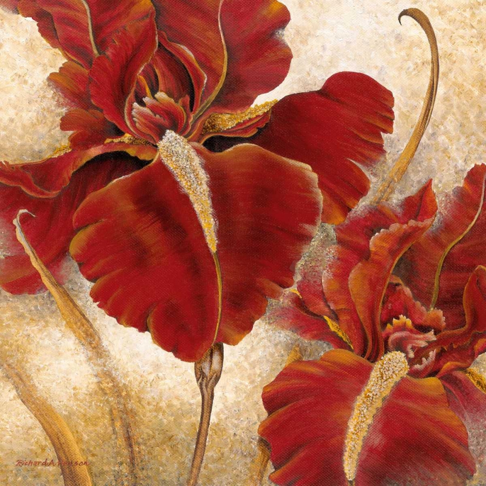 Red Iris art print by Richard Henson for $57.95 CAD