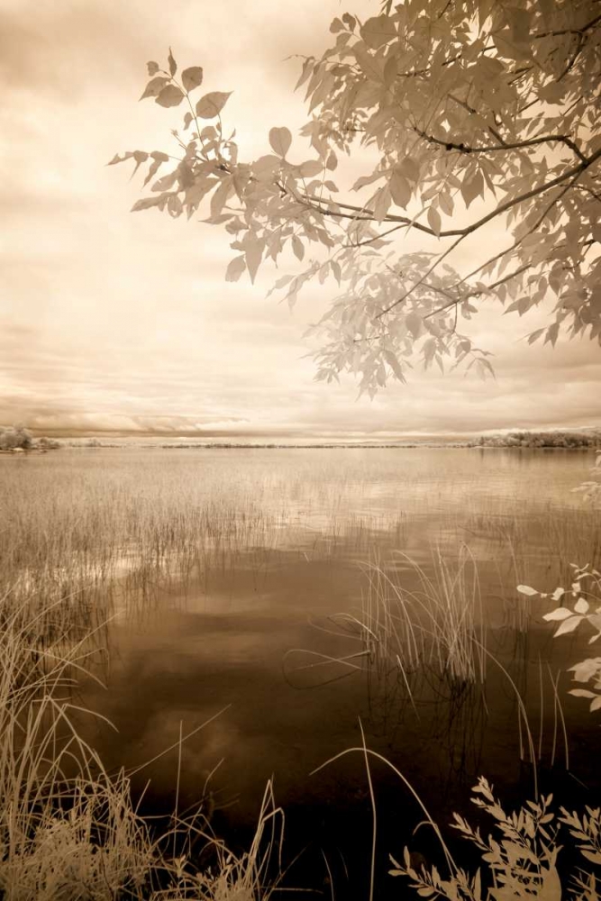 Peaceful Morning II art print by Monte Nagler for $57.95 CAD