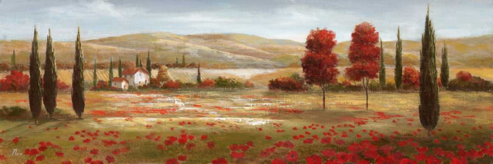 Tuscan Poppies II art print by Nan for $57.95 CAD
