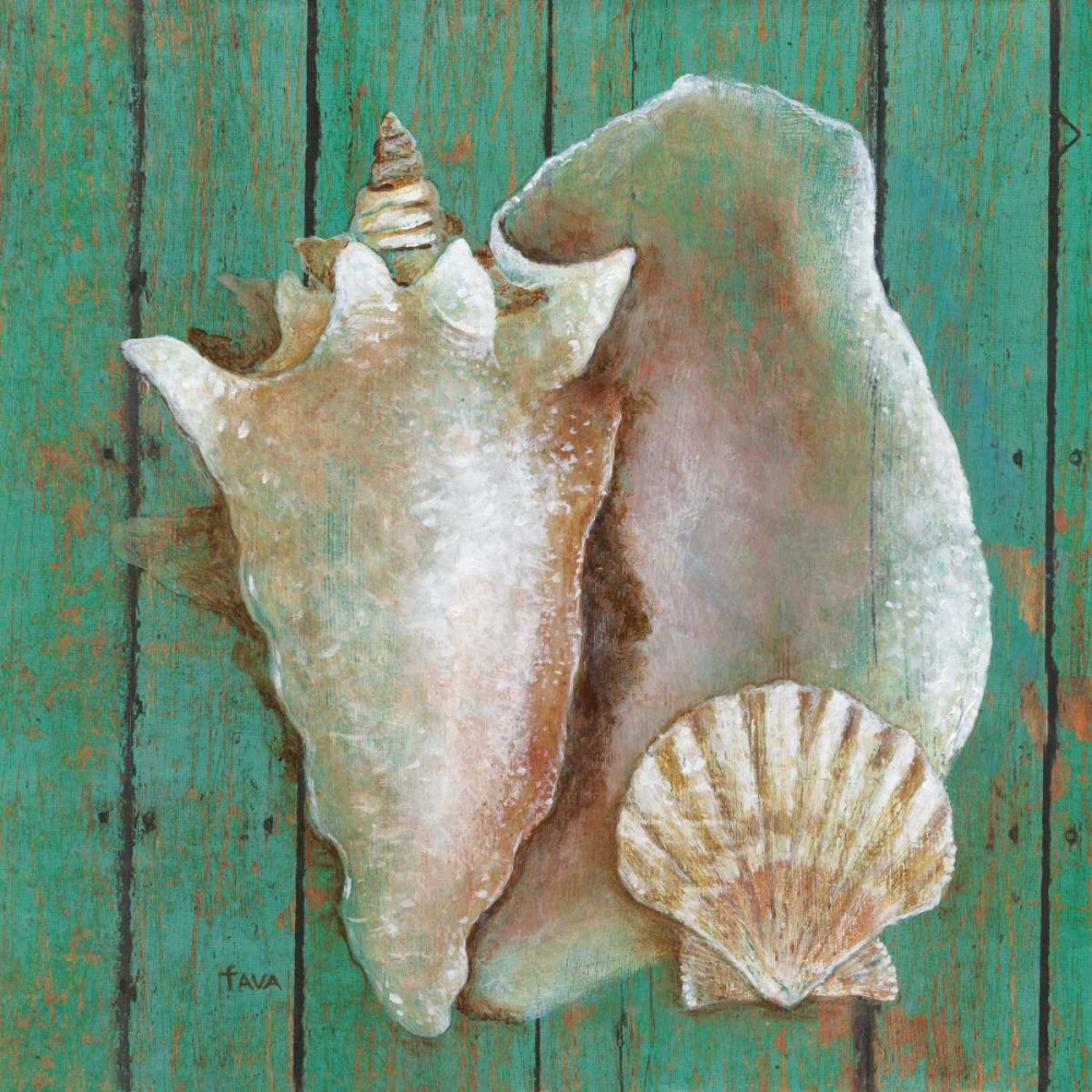 Conch art print by Janet Tava for $57.95 CAD