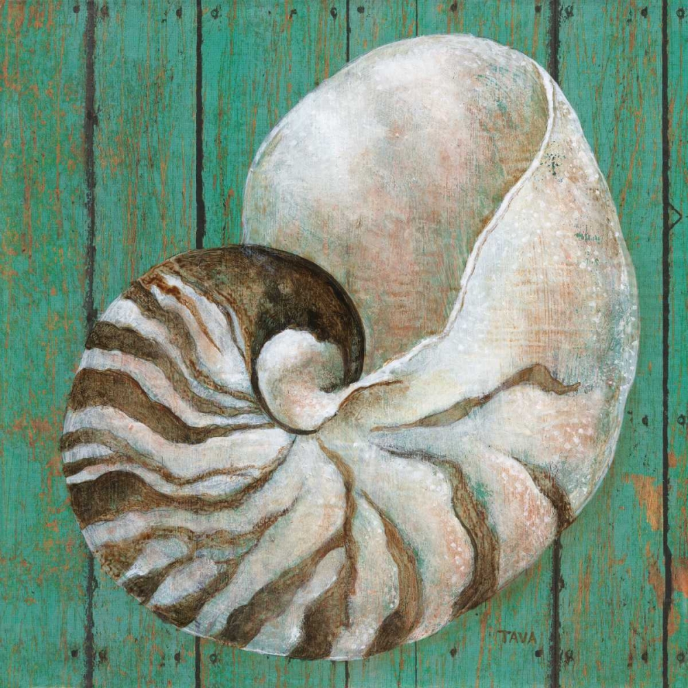 Nautilus art print by Janet Tava for $57.95 CAD