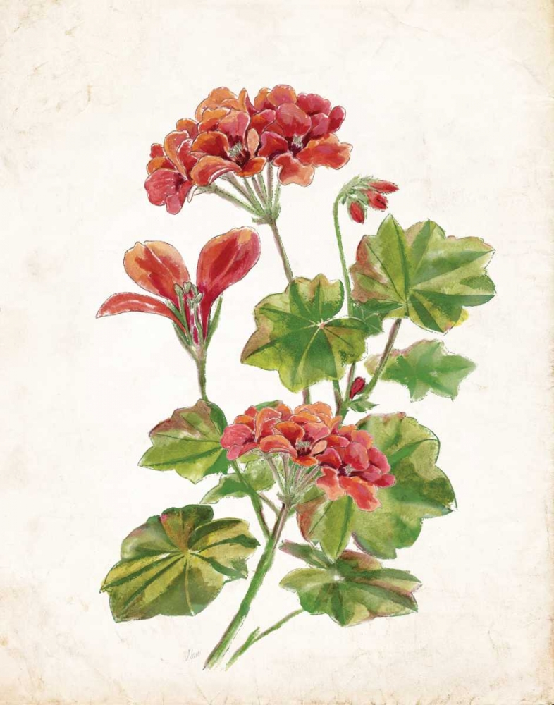 Scarlet Botanical II art print by Nan for $57.95 CAD