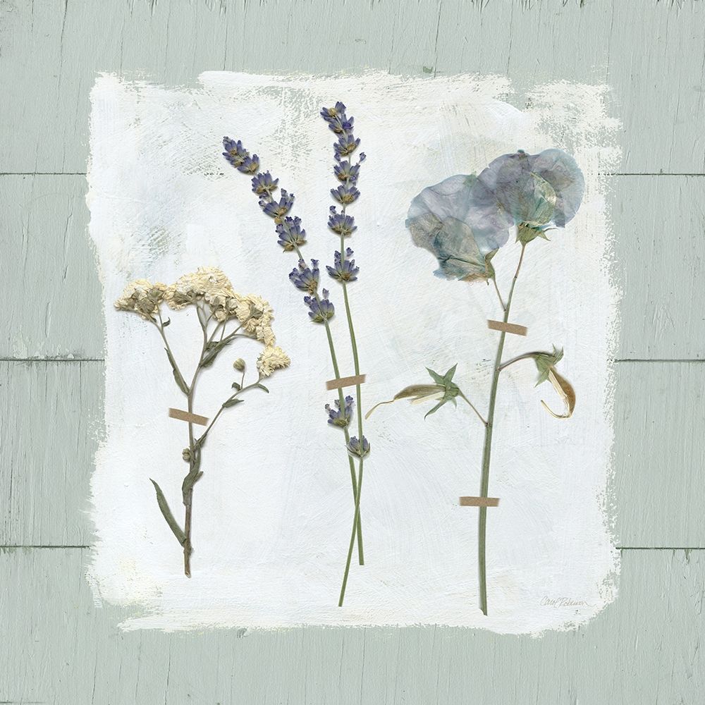 Pressed Flowers on art print by Carol Robinson for $63.95 CAD