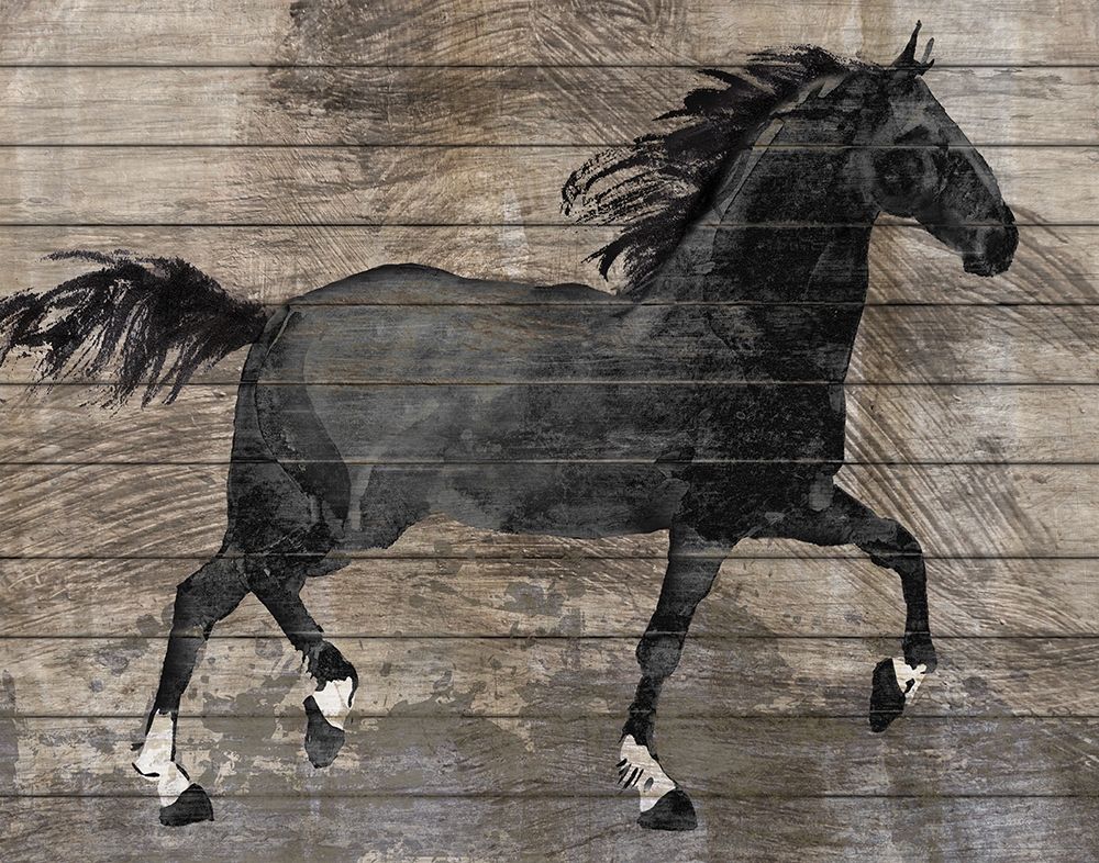 Barnwood Horse art print by Conrad Knutsen for $57.95 CAD