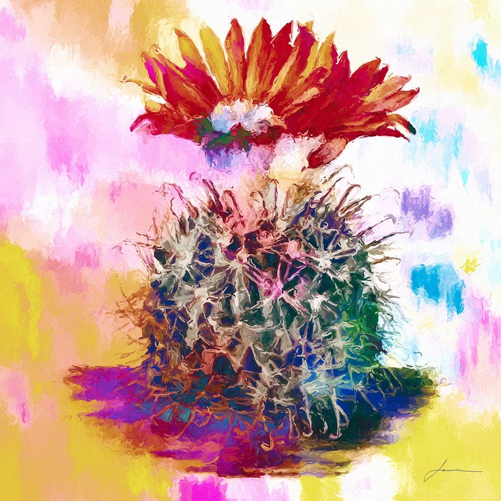 Desert Bloom art print by James Burghardt for $57.95 CAD