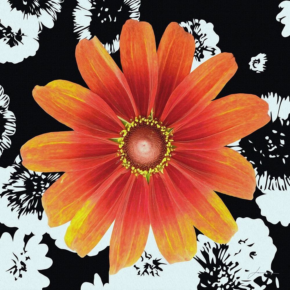 Black and Bloom art print by James Burghardt for $57.95 CAD
