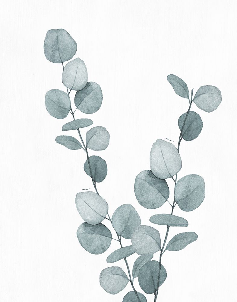 Blue Botanical Wash III art print by Conrad Knutsen for $57.95 CAD