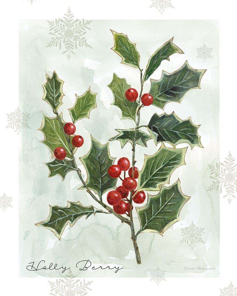 Botanical Holly Berry art print by Carol Robinson for $57.95 CAD