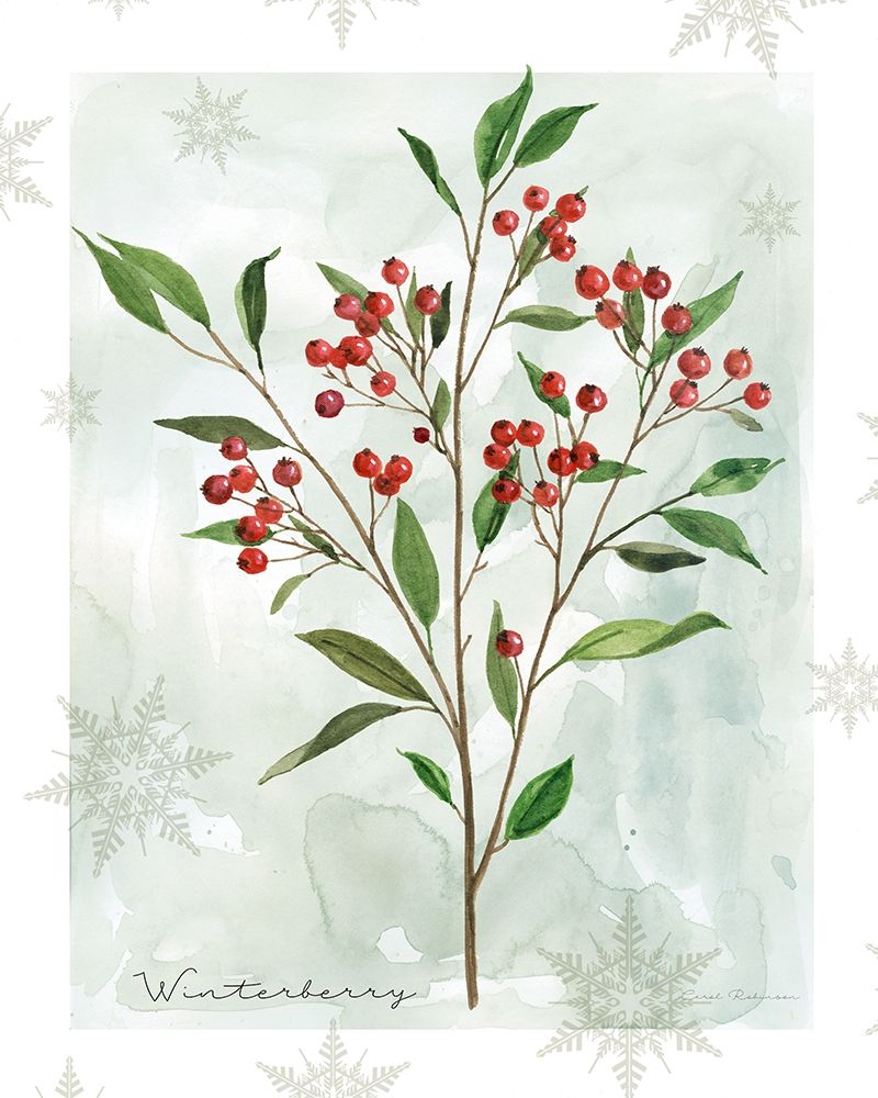 Botanical Winterberry art print by Carol Robinson for $57.95 CAD