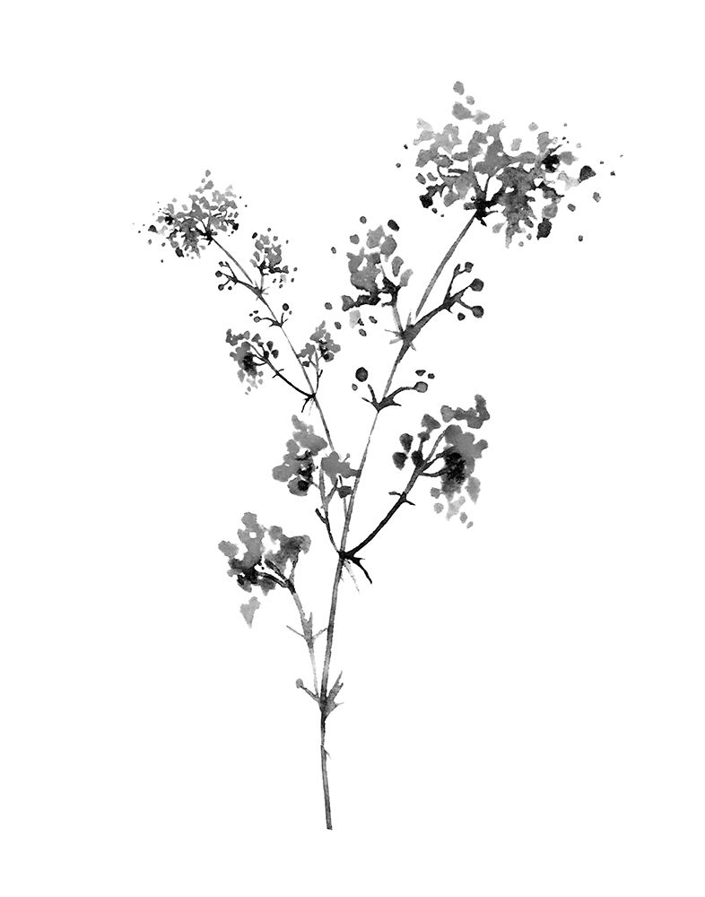 Neutral Washed Botanical I art print by Conrad Knutsen for $57.95 CAD