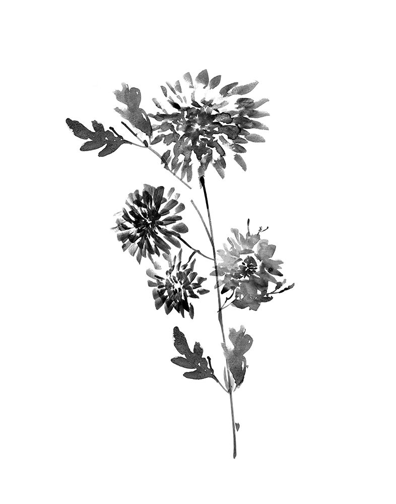 Neutral Washed Botanical II art print by Conrad Knutsen for $57.95 CAD