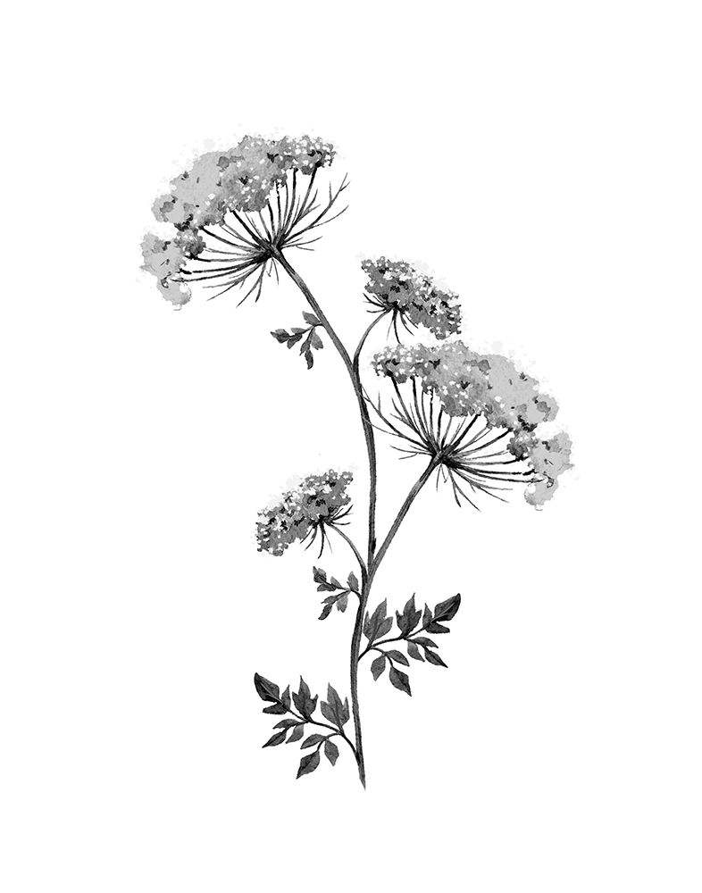 Neutral Washed Botanical III art print by Conrad Knutsen for $57.95 CAD