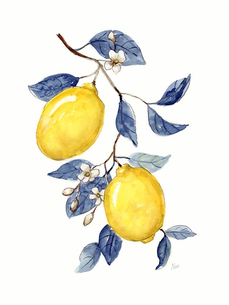 Odyssey Lemons II art print by Nan for $57.95 CAD