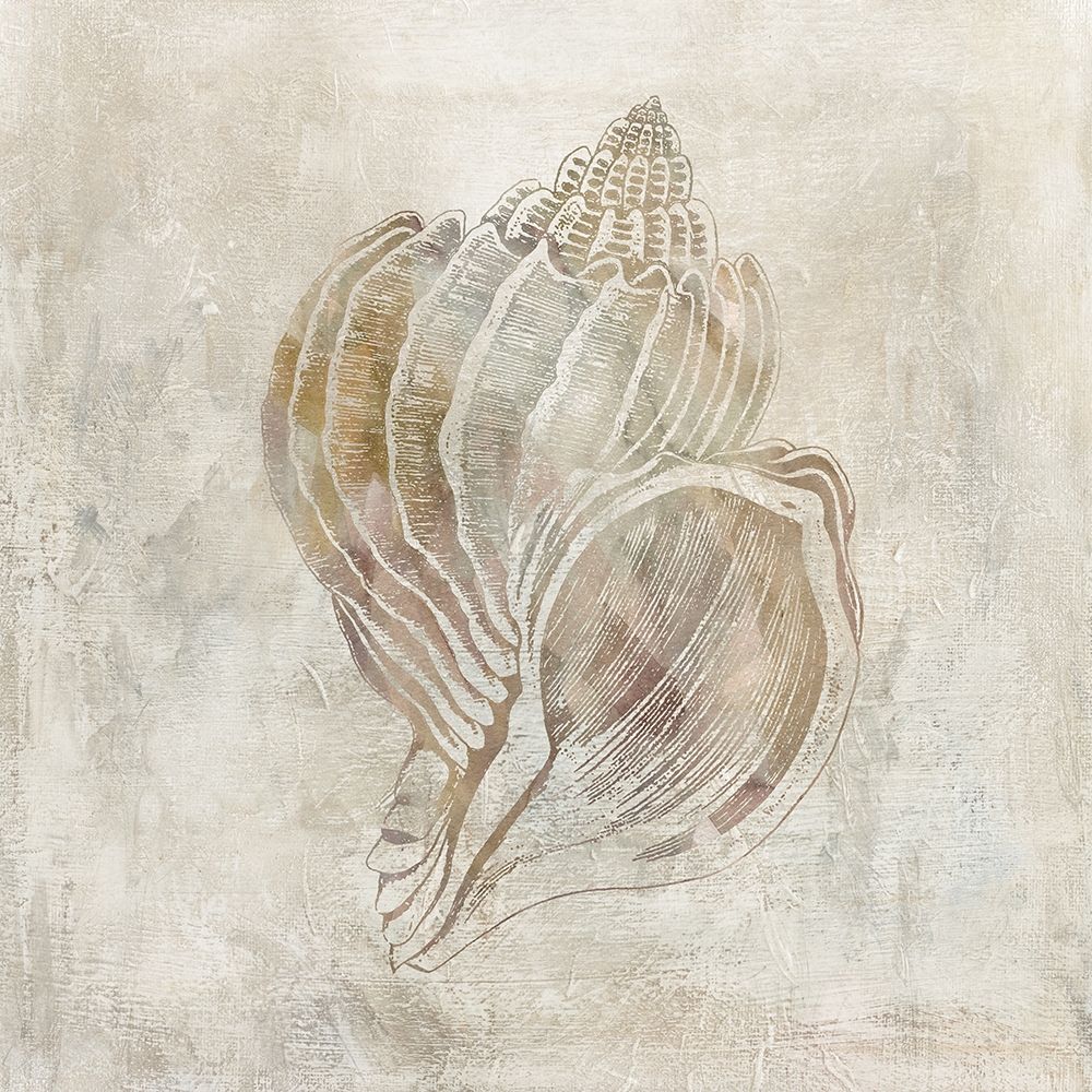 Seashell Illusion III art print by Carol Robinson for $57.95 CAD